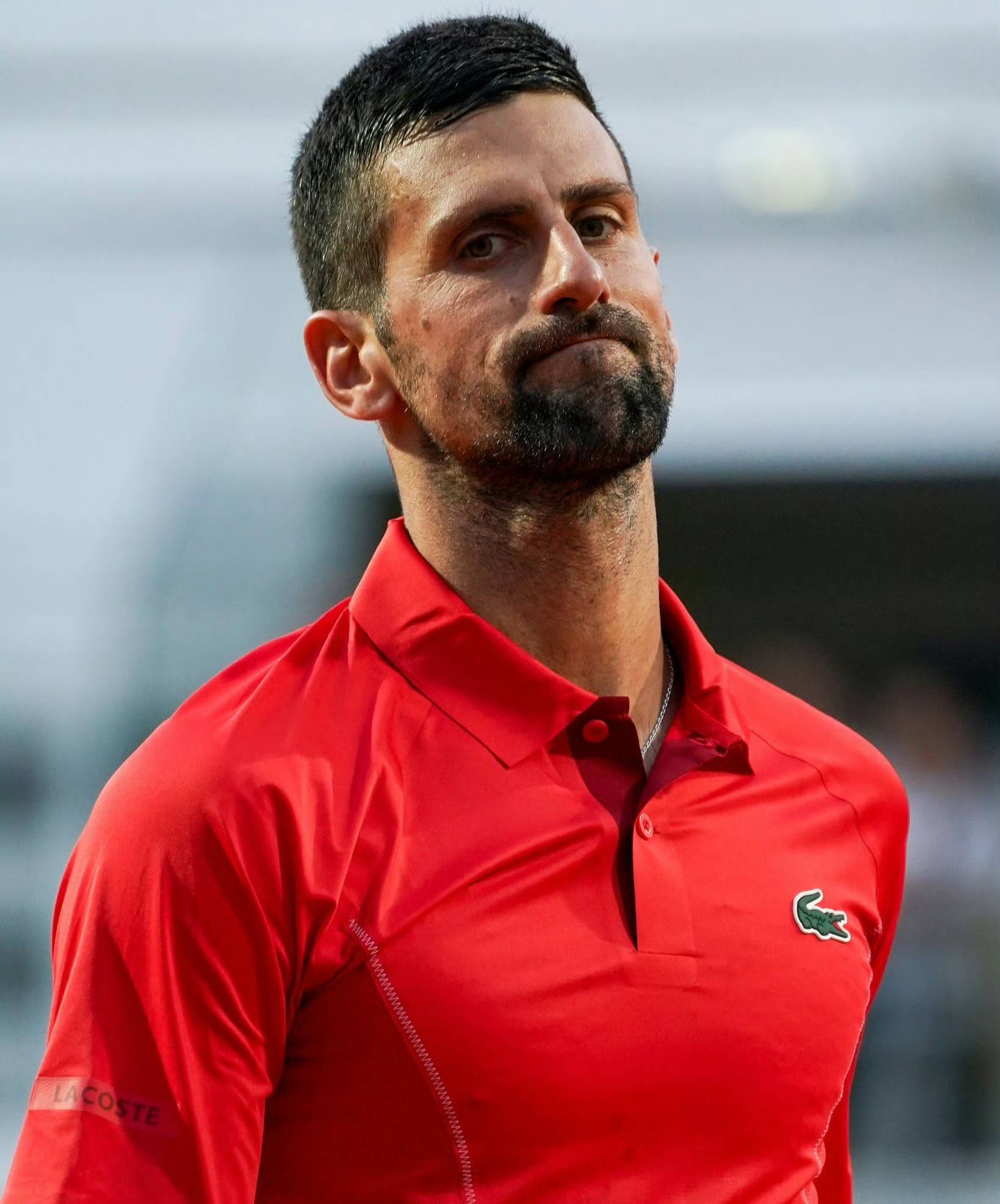 黑白直播-关于法网力克美网，德约科维奇关键制胜的信息